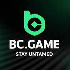 Step-by-Step Guide to the BC.Game Sign Up Process -200061780